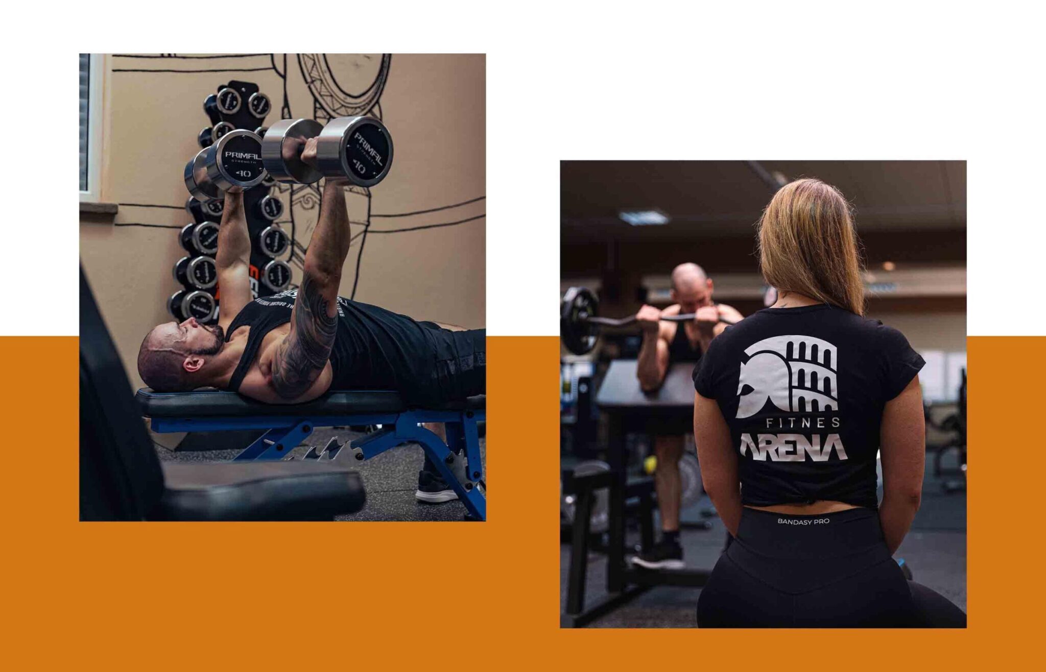 Oblikovanje-logotipa-in-cgp_Logo-design_Fitnes-Arena_Shapehood